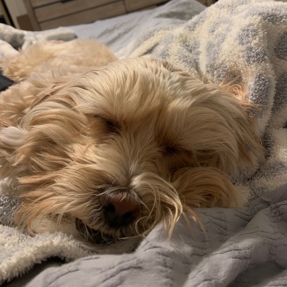 Meet your Posher, Susan - Picture 1 of 1